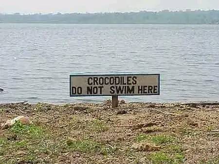 Error - Crocodiles do not swim here